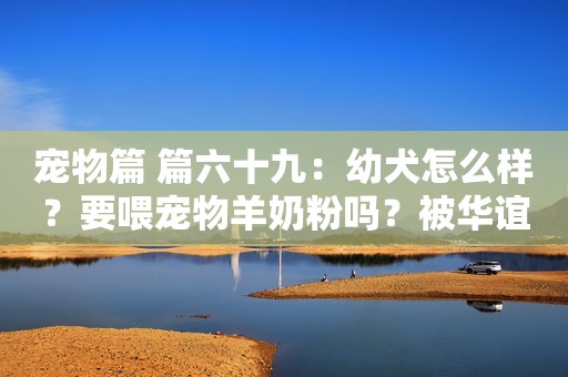 宠物篇 篇六十九：幼犬怎么样？要喂宠物羊奶粉吗？被华谊老板“摸胸抱”，离婚后的杨颖，如今过得怎样