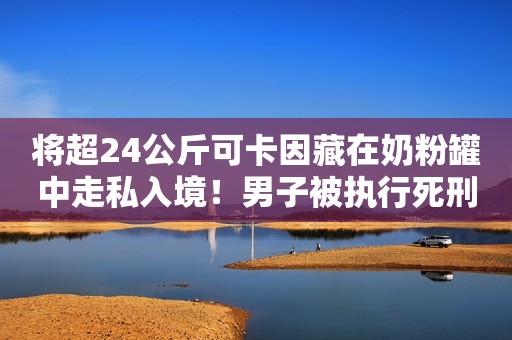将超24公斤可卡因藏在奶粉罐中走私入境！男子被执行死刑