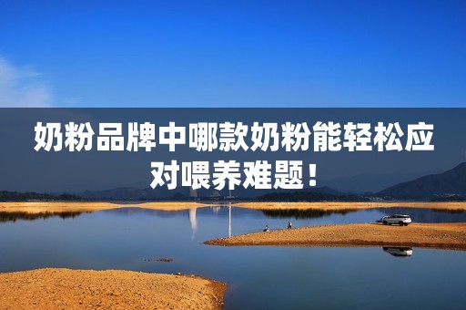 奶粉品牌中哪款奶粉能轻松应对喂养难题！