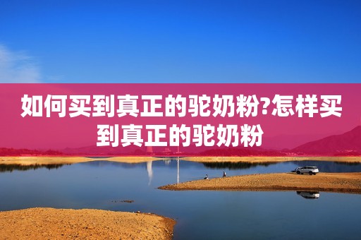 如何买到真正的驼奶粉?怎样买到真正的驼奶粉