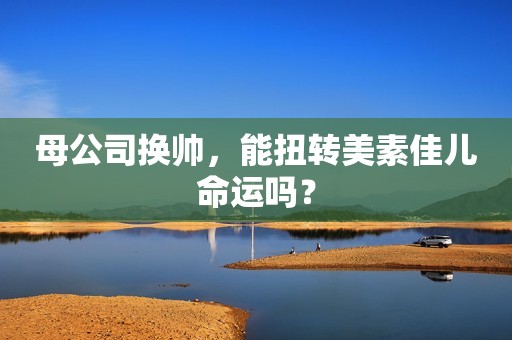 母公司换帅，能扭转美素佳儿命运吗？