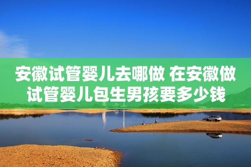 安徽试管婴儿去哪做 在安徽做试管婴儿包生男孩要多少钱