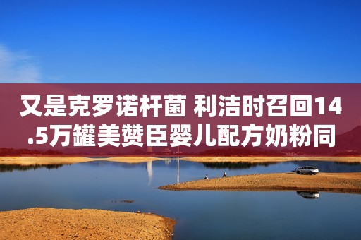 又是克罗诺杆菌 利洁时召回14.5万罐美赞臣婴儿配方奶粉同样是竹已的小说，为何《偷偷藏不住》被吐槽，另一部却成黑马剧