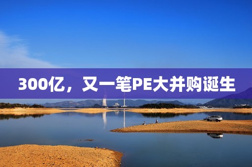 300亿，又一笔PE大并购诞生