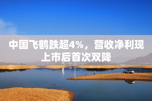 中国飞鹤跌超4%，营收净利现上市后首次双降