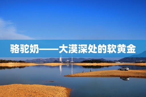 骆驼奶——大漠深处的软黄金