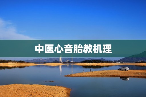中医心音胎教机理