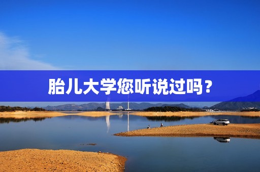 胎儿大学您听说过吗？