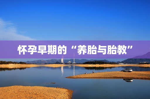 怀孕早期的“养胎与胎教”