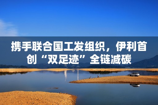 携手联合国工发组织，伊利首创“双足迹”全链减碳