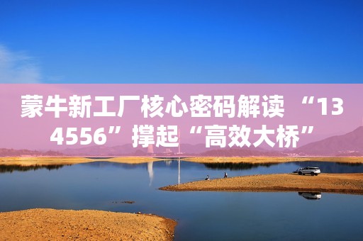 蒙牛新工厂核心密码解读 “134556”撑起“高效大桥”