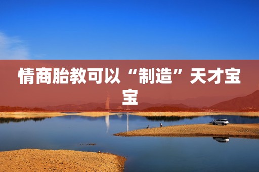 情商胎教可以“制造”天才宝宝