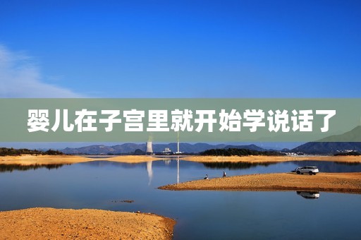 婴儿在子宫里就开始学说话了