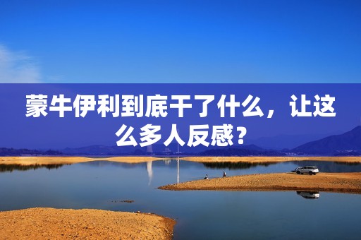 蒙牛伊利到底干了什么，让这么多人反感？