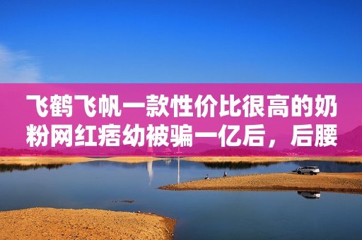 飞鹤飞帆一款性价比很高的奶粉网红痞幼被骗一亿后，后腰四字纹身意外曝光，网友：借一步说话