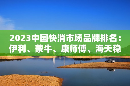 2023中国快消市场品牌排名：伊利、蒙牛、康师傅、海天稳居前四，心相印增长最快