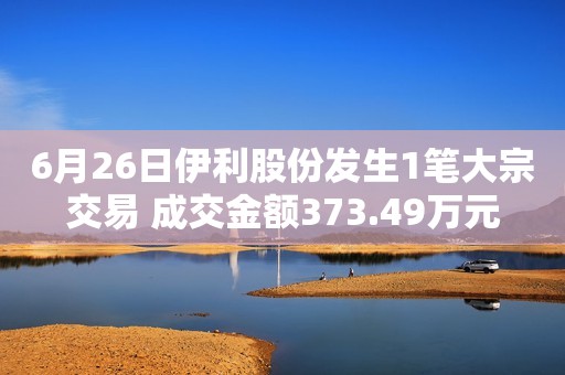 6月26日伊利股份发生1笔大宗交易 成交金额373.49万元