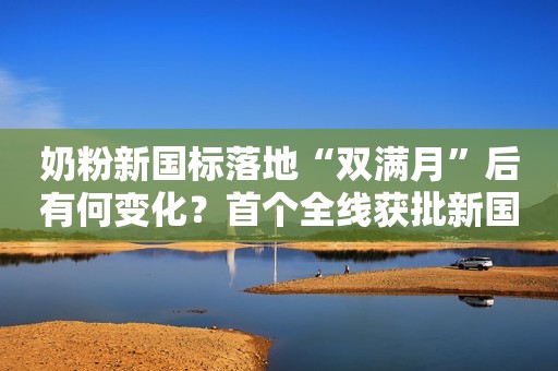 奶粉新国标落地“双满月”后有何变化？首个全线获批新国标的外资奶粉品牌出炉