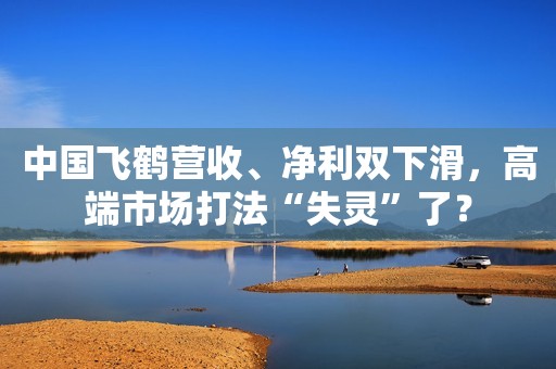 中国飞鹤营收、净利双下滑，高端市场打法“失灵”了？