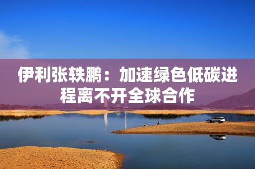 伊利张轶鹏：加速绿色低碳进程离不开全球合作