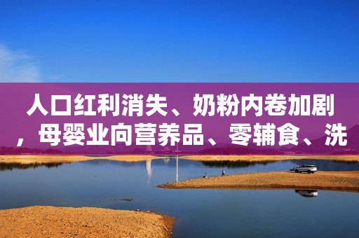 人口红利消失、奶粉内卷加剧，母婴业向营养品、零辅食、洗护三大赛道突围