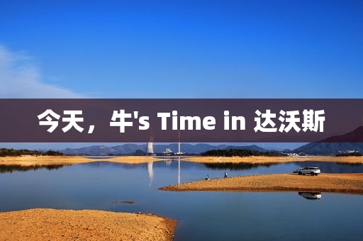 今天，牛's Time in 达沃斯
