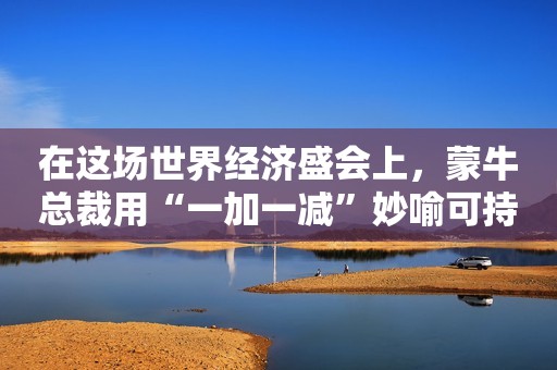 在这场世界经济盛会上，蒙牛总裁用“一加一减”妙喻可持续发展