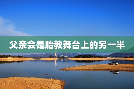 父亲会是胎教舞台上的另一半