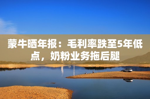 蒙牛晒年报：毛利率跌至5年低点，奶粉业务拖后腿