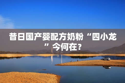 昔日国产婴配方奶粉“四小龙”今何在？