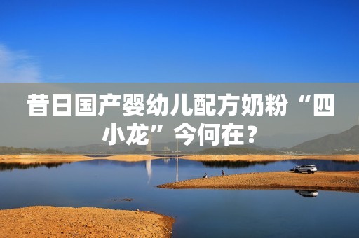 昔日国产婴幼儿配方奶粉“四小龙”今何在？