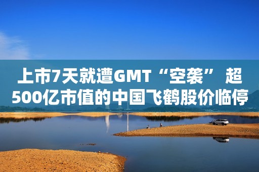 上市7天就遭GMT“空袭” 超500亿市值的中国飞鹤股价临停！公司最新回应来了……