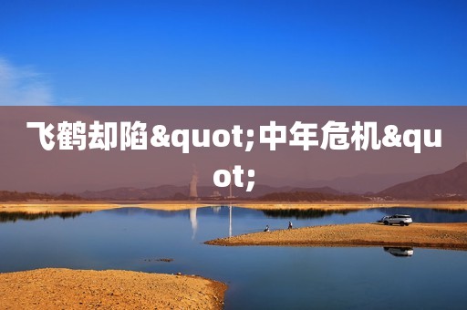 飞鹤却陷"中年危机"