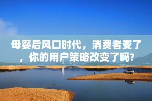 母婴后风口时代，消费者变了，你的用户策略改变了吗?