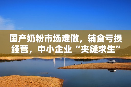 国产奶粉市场难做，辅食亏损经营，中小企业“夹缝求生”