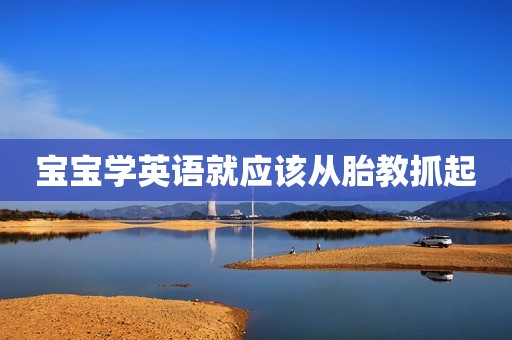 宝宝学英语就应该从胎教抓起