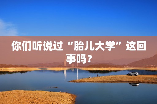 你们听说过“胎儿大学”这回事吗？