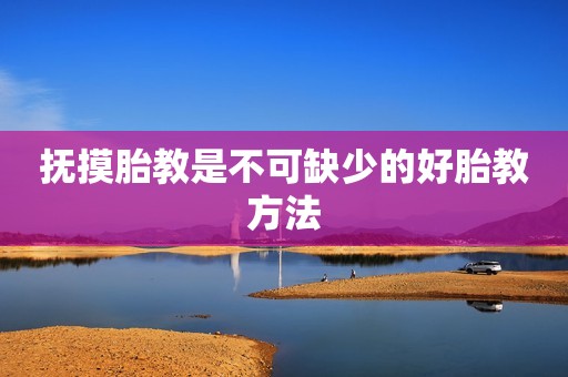 抚摸胎教是不可缺少的好胎教方法