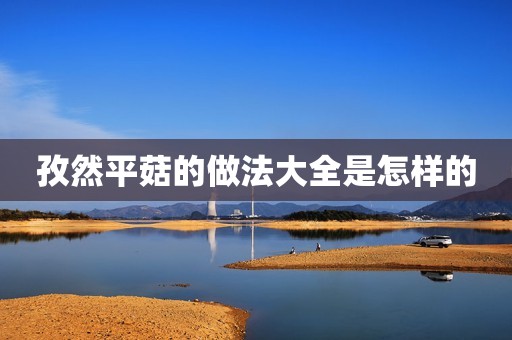 孜然平菇的做法大全是怎样的