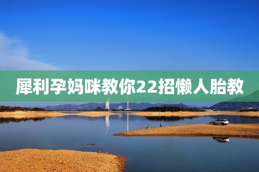 犀利孕妈咪教你22招懒人胎教