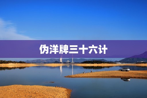 伪洋牌三十六计