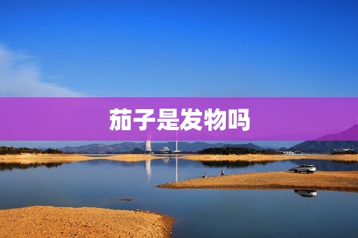 茄子是发物吗