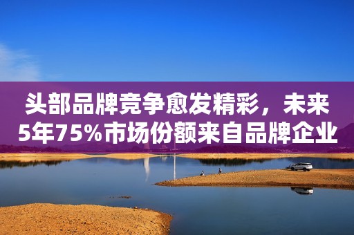 头部品牌竞争愈发精彩，未来5年75%市场份额来自品牌企业？