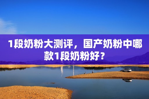 1段奶粉大测评，国产奶粉中哪款1段奶粉好？
