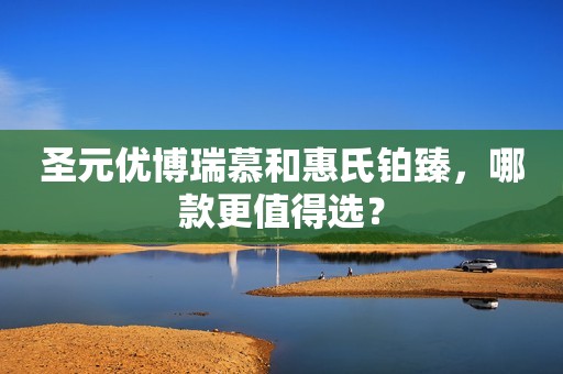 圣元优博瑞慕和惠氏铂臻，哪款更值得选？