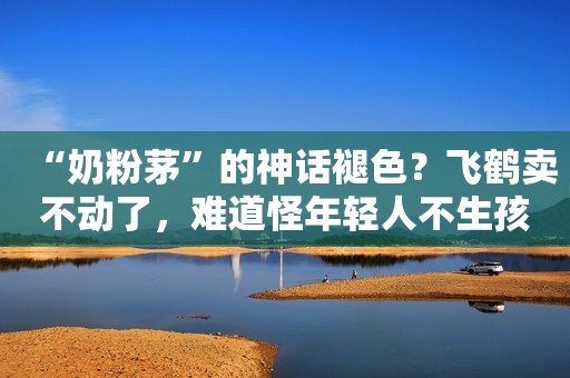 “奶粉茅”的神话褪色？飞鹤卖不动了，难道怪年轻人不生孩子？
