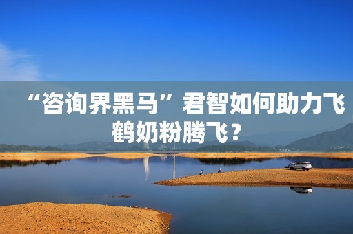 “咨询界黑马”君智如何助力飞鹤奶粉腾飞？