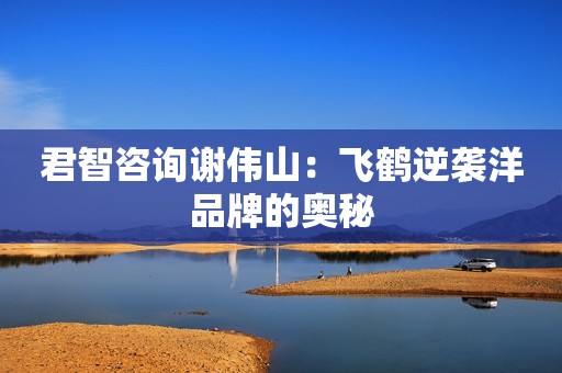 君智咨询谢伟山：飞鹤逆袭洋品牌的奥秘