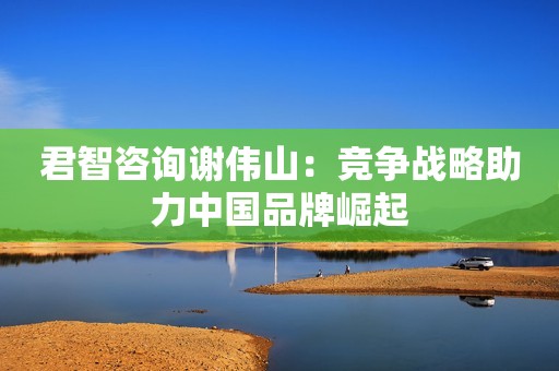 君智咨询谢伟山：竞争战略助力中国品牌崛起