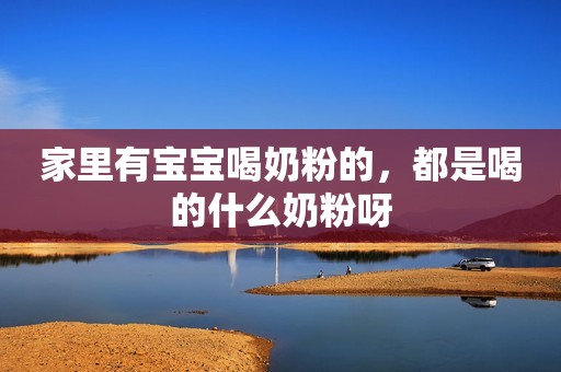 家里有宝宝喝奶粉的，都是喝的什么奶粉呀